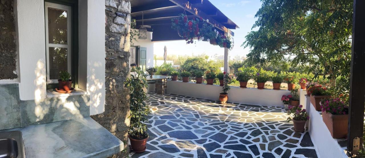 Ktima Dimitrios Villa Naxos City Exterior photo
