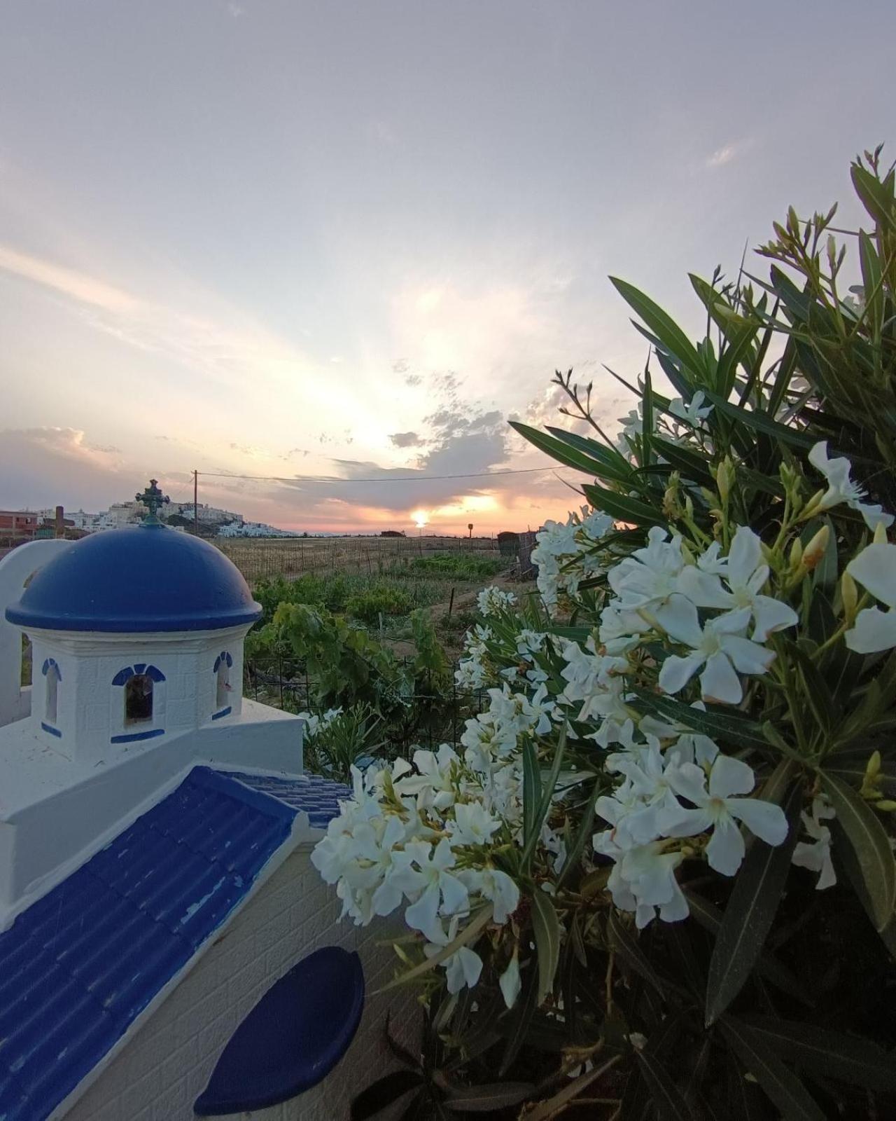 Ktima Dimitrios Villa Naxos City Exterior photo